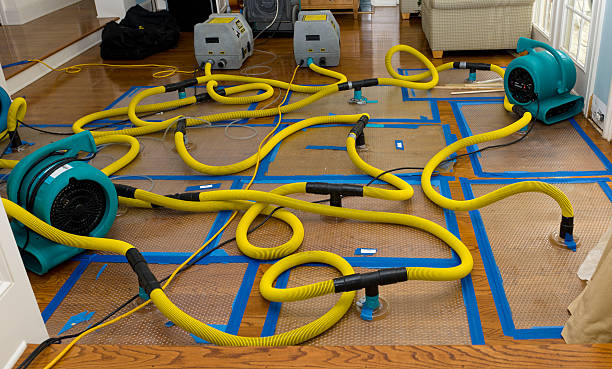 Professional Basement Flood Cleanup technician working in Scranton, NC